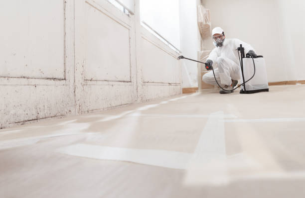 24/7 Emergency Mold Remediation experts in Telluride, CO